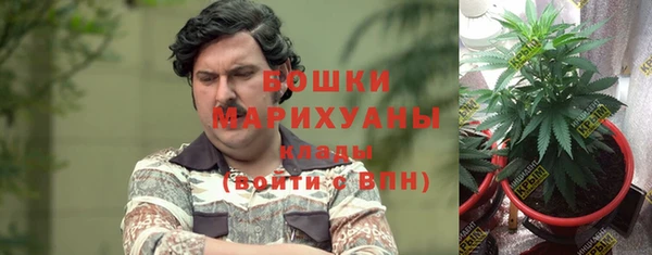 spice Елизово