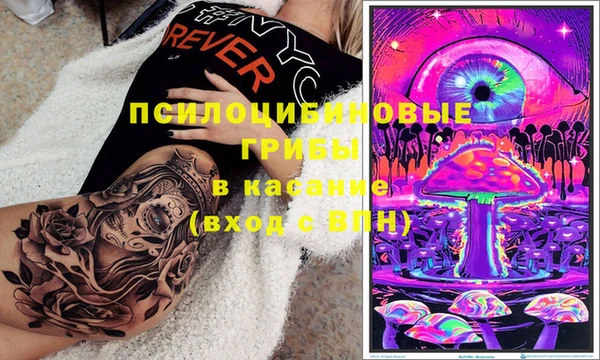 бутират Елабуга
