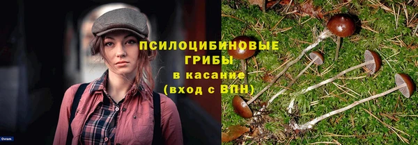 spice Елизово