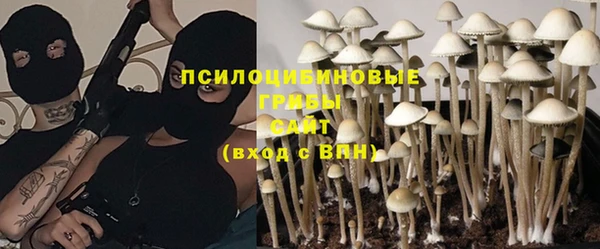 марки lsd Ельня